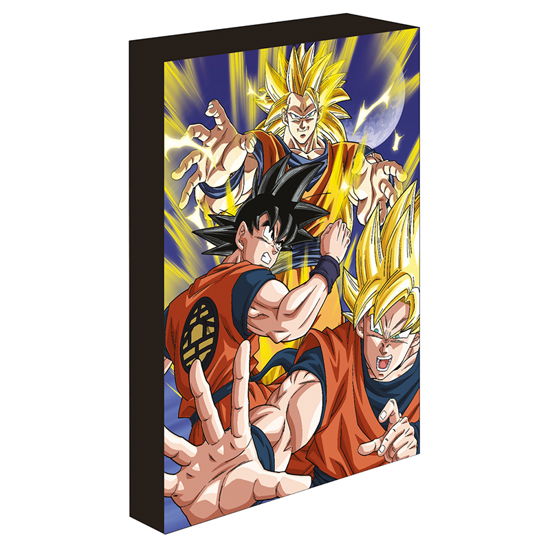 Cover for Dragon Ball Z · DRAGON BALL Z - Goku Evolution - Light Canvas 40X3 (Leketøy)