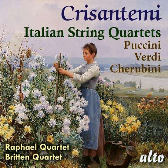 Cover for Raphael &amp; Britten Quartets · Cristantemi - Italian String Quartets Puccini / Verdi / Donizetti (CD) (2021)