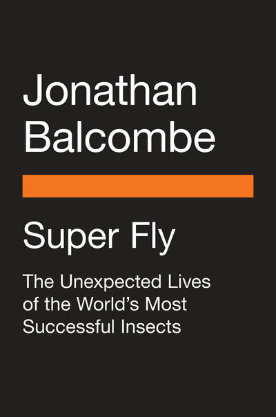 Cover for Jonathan Balcombe · Super Fly: The Unexpected Lives of the World's Most Successful Insects (Paperback Book) (2021)