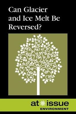 Cover for Roman Espejo · Can Glacier and Ice Melt Be Reversed? (Paperback Book) (2014)