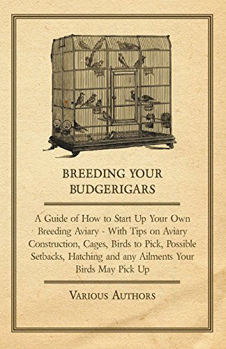 Breeding Your Budgerigars - A Guide of How to Start Up Your Own Breeding Aviary - With Tips on Aviary Construction, Cages, Birds to Pick, Possible Setbacks, Hatching and Any Ailments Your Birds May Pick Up - V/A - Books - Read Books - 9781447415275 - June 6, 2011