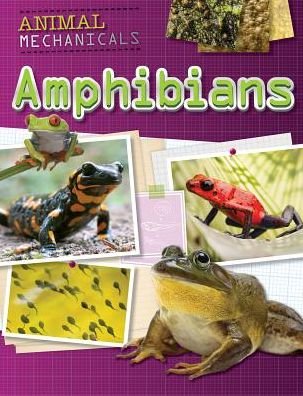 Cover for Tom Jackson · Amphibians (Paperback Book) (2016)