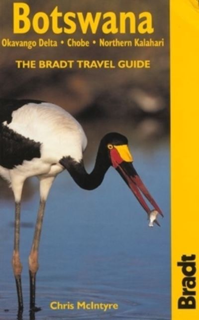 Cover for Karen dabrowska · Iraq, The Bradt Travel Guide (Buch) (2001)