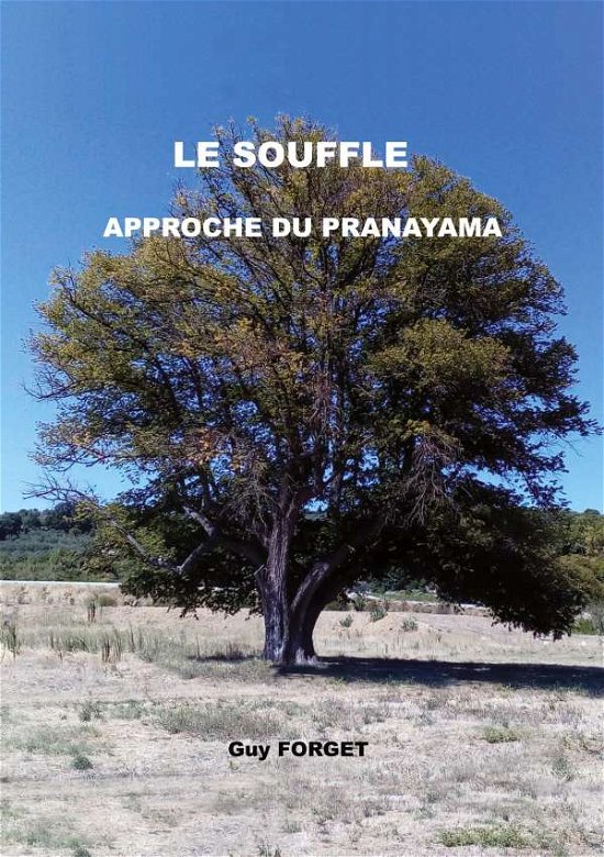 Cover for Forget · Le souffle (Book)