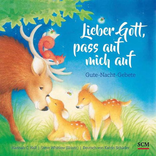 Cover for Hannah C. Hall · Lieber Gott, pass auf mich auf (Board book) (2021)