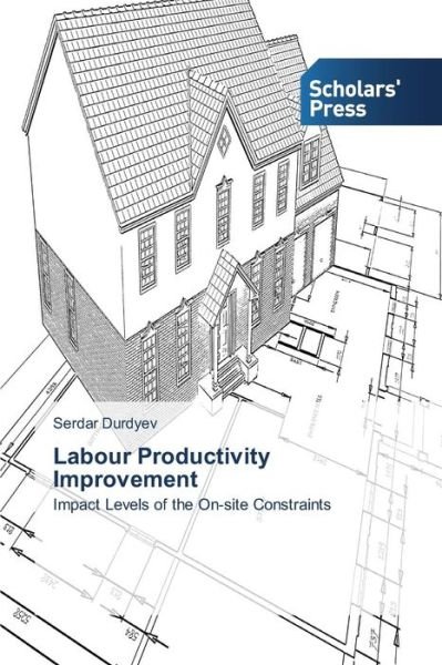 Serdar Durdyev · Labour Productivity Improvement: Impact Levels of the On-site Constraints (Paperback Book) (2014)