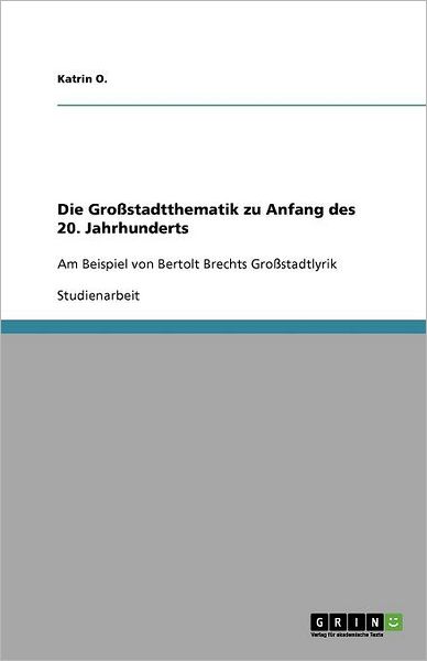 Die Großstadtthematik zu Anfang des - O. - Książki -  - 9783656064275 - 