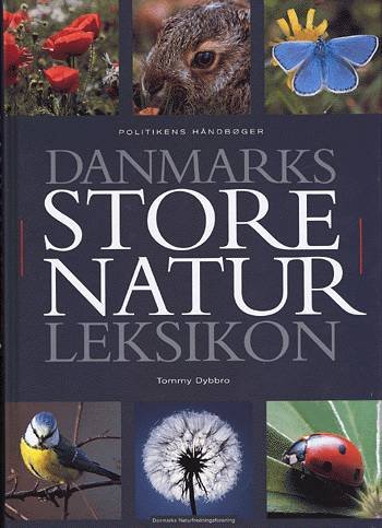 Cover for Tommy Dybbro · Politikens håndbøger: Danmarks store naturleksikon (Buch) [1. Ausgabe] (2002)
