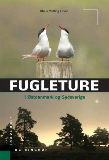 Cover for Klaus Malling Olsen · Fugleture i Østdanmark og Sydsverige (Sewn Spine Book) [1. wydanie] (2006)