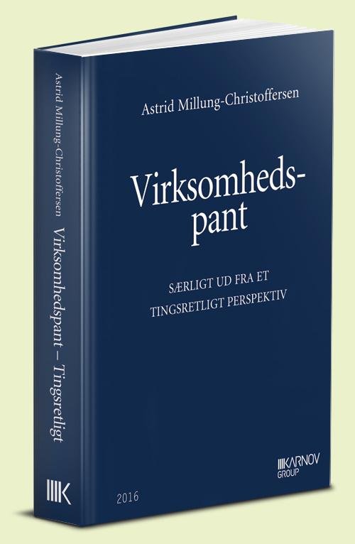 Cover for Virksomhedspant (Hardcover Book) [1st edition] (2016)