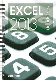 Cover for Eva Ansell · Inspira: Excel 2013 Fördjupning (Spiralbuch) (2013)