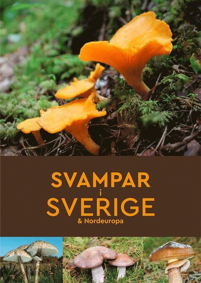Cover for Josephine Bacon · Svampar i Sverige &amp; Nordeuropa (Book) (2022)