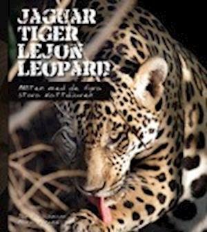 Cover for Maria Veneke · Jaguar, tiger, lejon, leopard : möten med de fyra stora kattdjuren (Bound Book) (2008)