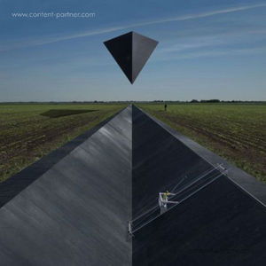 Cover for Goose · Synrise / Words (LP) [Limited edition] (2010)