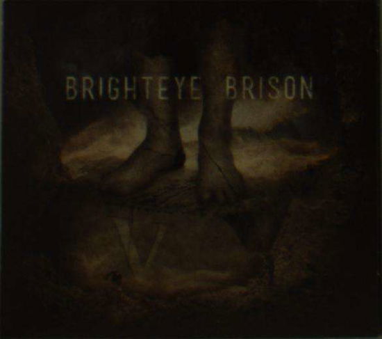 V - Brighteye Brison - Musik - BAD ELEPHANT MUSIC - 0660042845276 - 2. august 2019