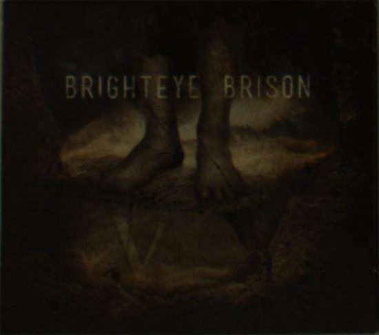 Cover for Brighteye Brison · V (CD) (2019)