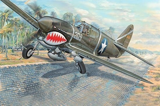 Cover for P · P-40f War Hawk (1:32) (N/A)