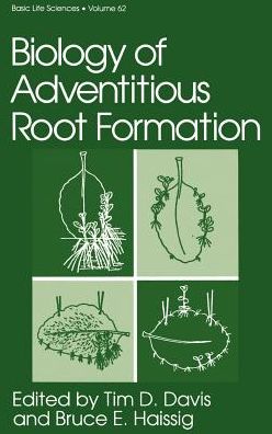Cover for International Symposium on the Biology of Adventitious Root Formation · Biology of Adventitious Root Formation - Basic Life Sciences (Hardcover Book) [1994 edition] (1994)