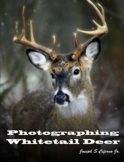 Cover for Ciferno, Joseph, Jr. · Photographing Whitetail Deer (Buch) (2013)
