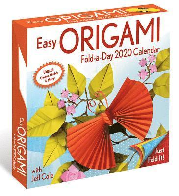 Easy Origami 2020 Activity Day-to-Day Calendar - Jeff Cole - Merchandise - Andrews McMeel Publishing - 9781449498276 - August 1, 2019