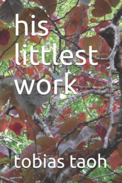 Cover for Tobias Taoh · His Littlest Work (Paperback Book) (2018)