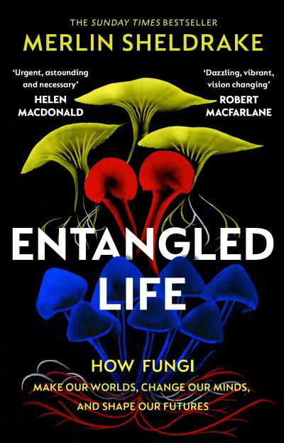 Entangled Life: How Fungi Make Our Worlds, Change Our Minds and Shape Our Futures - Merlin Sheldrake - Books - Vintage Publishing - 9781784708276 - September 2, 2021