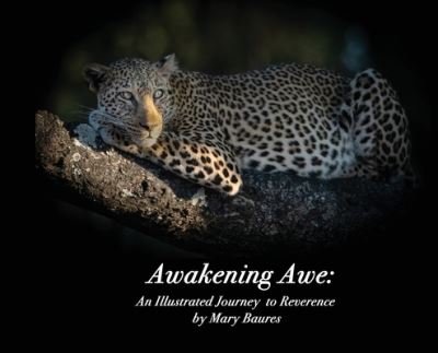 Cover for Mary Baures · Awakening Awe: An Illustrated Journey to Reverence (Hardcover Book) (2020)