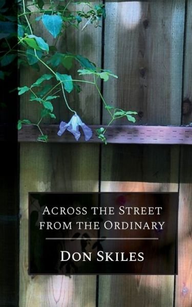 Cover for Don Skiles · Across the Street from the Ordinary (Bok) (2020)