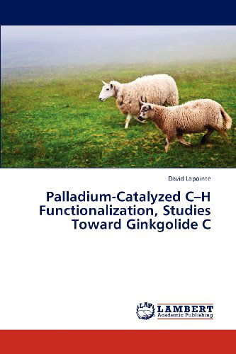 Cover for David Lapointe · Palladium-catalyzed C-h Functionalization, Studies Toward Ginkgolide C (Paperback Book) (2012)