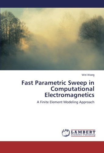 Cover for Wei Wang · Fast Parametric Sweep in Computational Electromagnetics: a Finite Element Modeling Approach (Paperback Book) (2014)