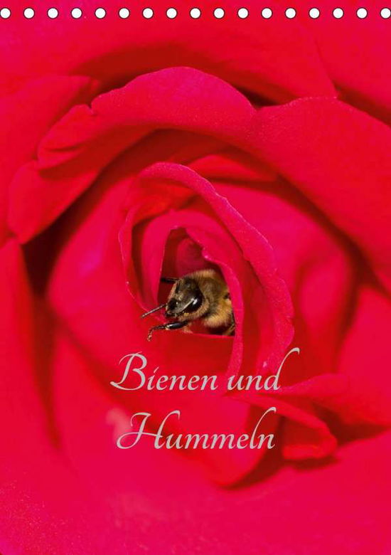 Cover for Bangert · Bienen und Hummeln (Tischkalend (Book)