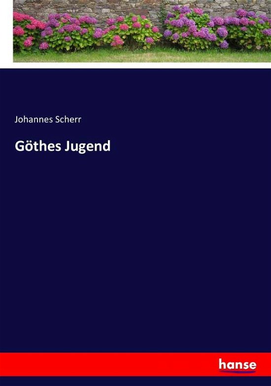 Cover for Johannes Scherr · Goethes Jugend (Paperback Book) (2016)