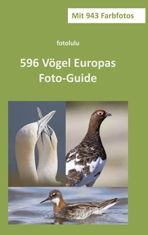 Cover for Fotolulu · 596 Vögel Europas (Paperback Book) (2021)