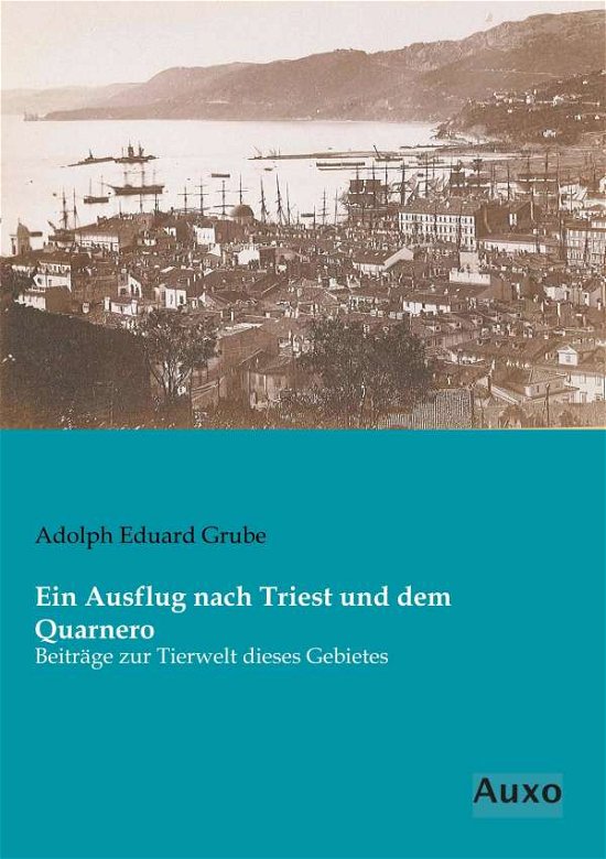 Cover for Grube · Ein Ausflug nach Triest und dem Q (Bok)