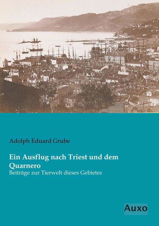 Cover for Grube · Ein Ausflug nach Triest und dem Q (Buch)