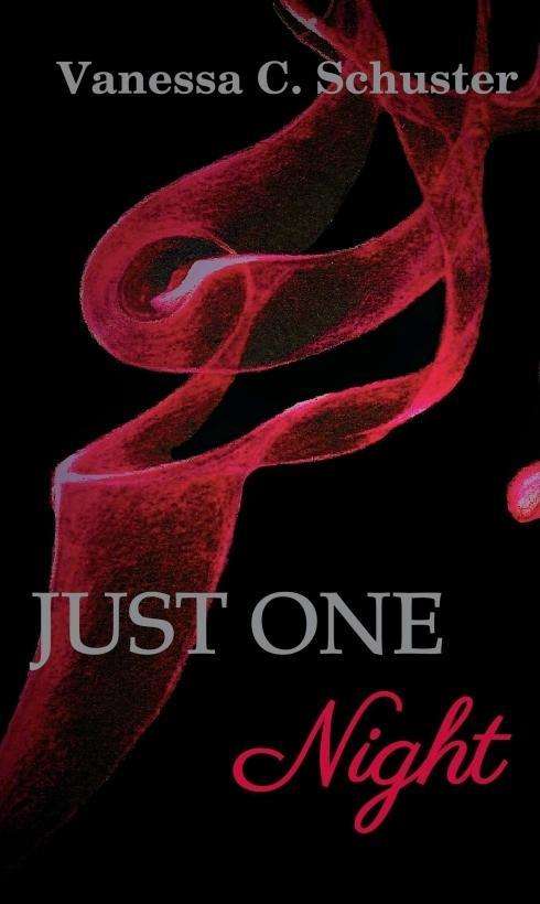 Cover for Schuster · Just One Night (Book)