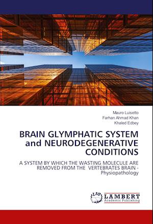 Cover for Mauro Luisetto · BRAIN GLYMPHATIC SYSTEM and NEURODEGENERATIVE CONDITIONS (Paperback Book) (2022)