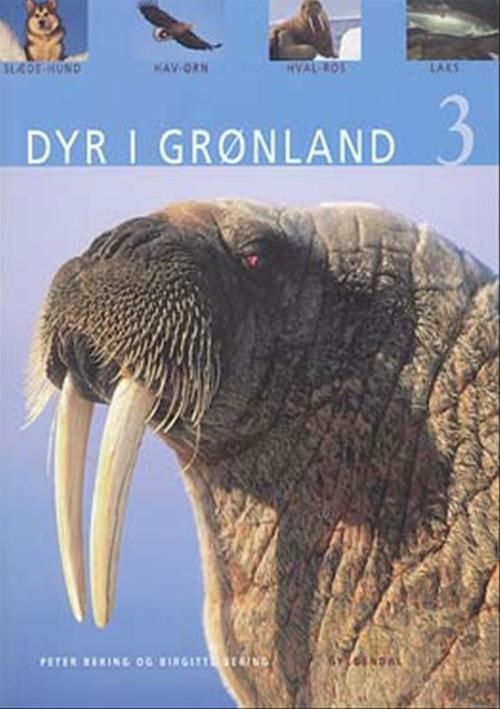 Cover for Peter Bering · Dyr: Dyr i Grønland 3 (Hæftet bog) [1. udgave] (2005)