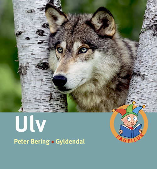 Cover for Peter Bering · Fagfilur: Ulv (Innbunden bok) [1. utgave] (2018)