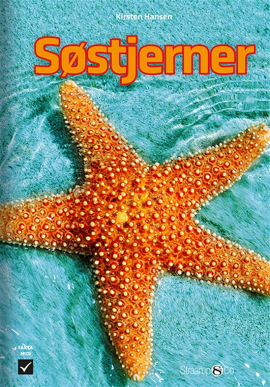 Cover for Kirsten Hansen · Midi: Søstjerner (Hardcover Book) [1º edição] (2024)