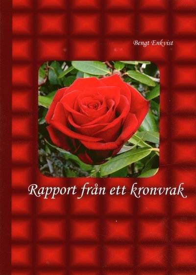 Cover for Bengt Enkvist · Rapport från ett kronvrak (Book) (2014)