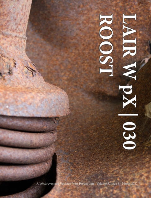 Cover for Wetdryvac · LAIR W pX 030 Roost (Inbunden Bok) (2024)