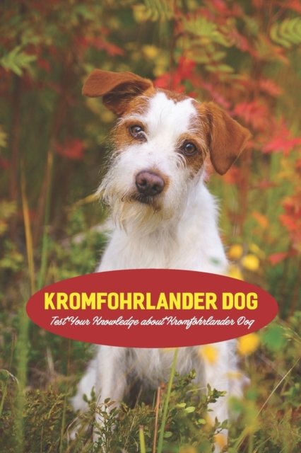 Cover for Gosnell Mollie · Kromfohrlander Dog: Test Your Knowledge about Kromfohrlander Dog (Pocketbok) (2022)