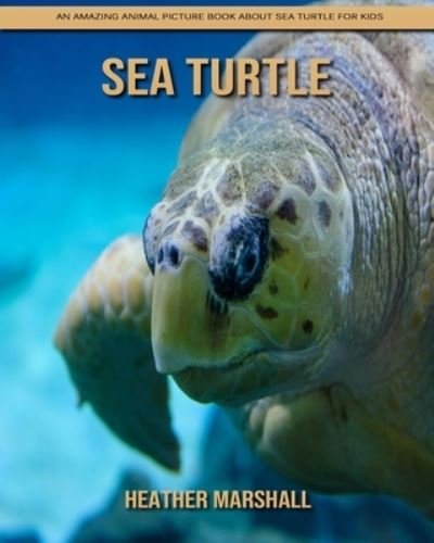 Cover for Heather Marshall · Sea Turtle: An Amazing Animal Picture Book about Sea Turtle for Kids (Paperback Book) (2021)