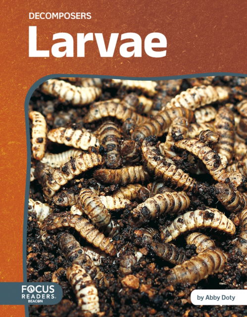 Larvae - Decomposers - Abby Doty - Books - North Star Editions - 9798889984276 - 2025