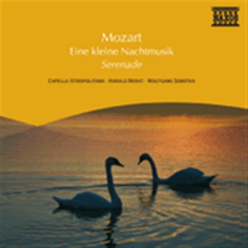 Eine Kleine Nachtmusik - Mozart - Music - NSL - 0747313104277 - July 10, 2007
