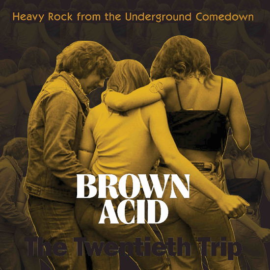 Brown Acid Twentieth Trip / Various - Brown Acid Twentieth Trip / Various - Music - RIDING EASY - 0788362909277 - May 2, 2025