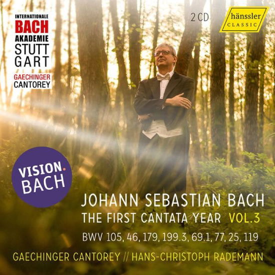 Cover for Bach,j.s. / Feuersinger / Berndt · Vision Bach, Vol. 3 (CD) (2024)