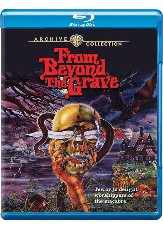 Cover for From Beyond the Grave (Blu-ray) (2019)