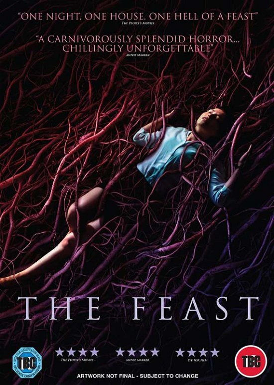 Cover for The Feast DVD · The Feast (aka Gwledd) (DVD) (2022)